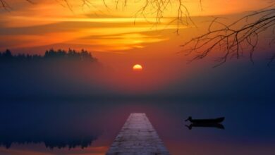 3 Essential Lessons Too Many of Us Learn Too Late in Life