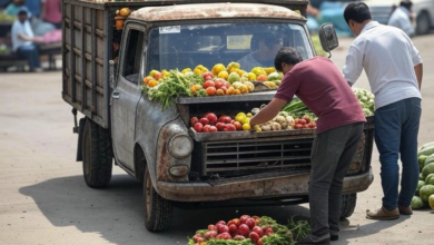 Contributor or a Consumer?