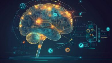 Brain’s Reward Center Tracks Not Just What, But When Rewards Arrive