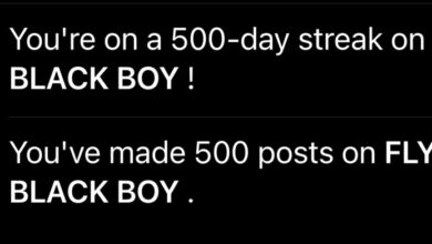 A Journey of Persistence and Growth – FLY, BLACK BOY