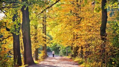 101 Inspirational September Quotes for a Motivated and Happy Start to Your Fall Season