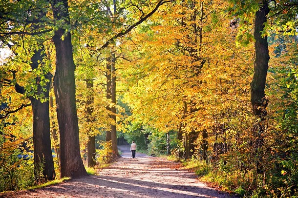 101 Inspirational September Quotes for a Motivated and Happy Start to Your Fall Season